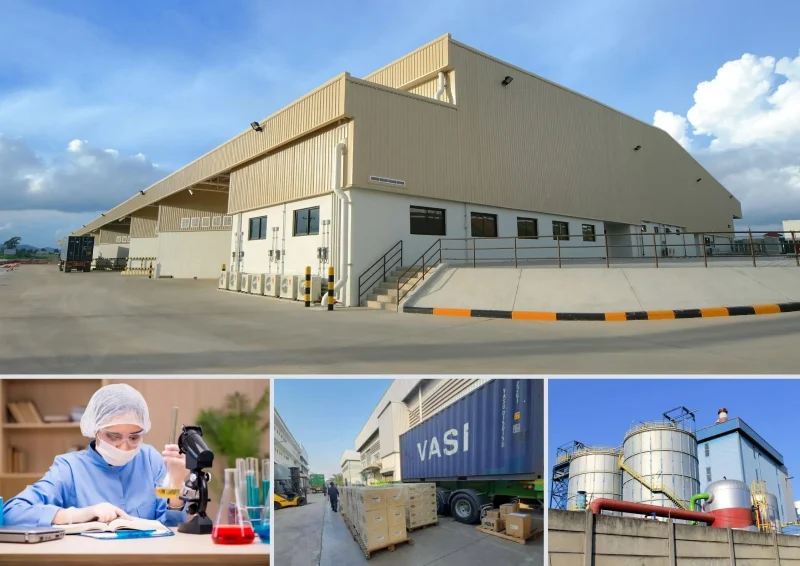 Silicone-Sealant-manufacturer-PLPT-global-OEM-Silicone-sealant
